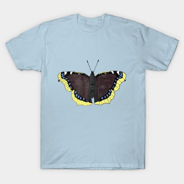 Mourning Cloak Butterfly T-Shirt by emilywayland
